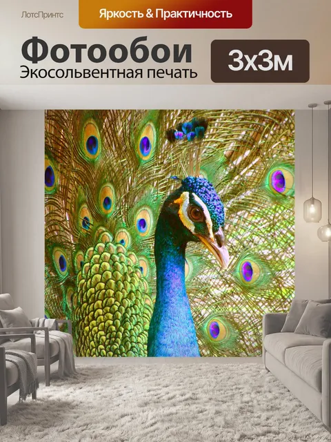 Фотообои Павлин