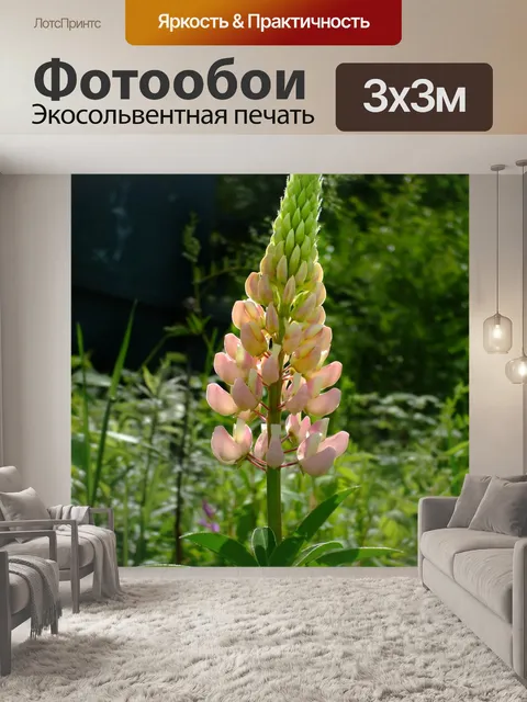 Фотообои Люпин
