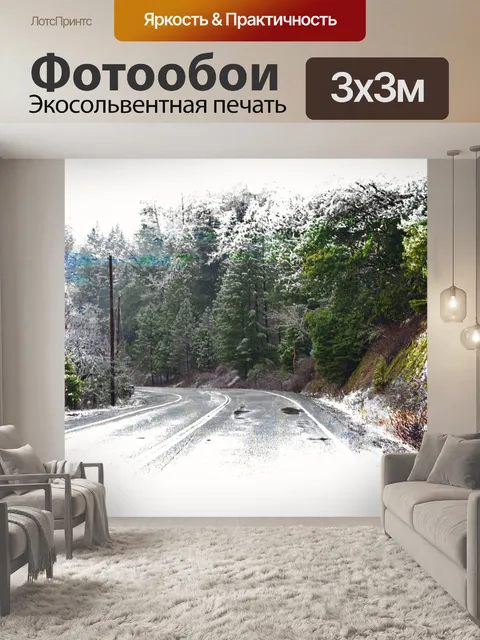 Фотообои Лесное шоссе