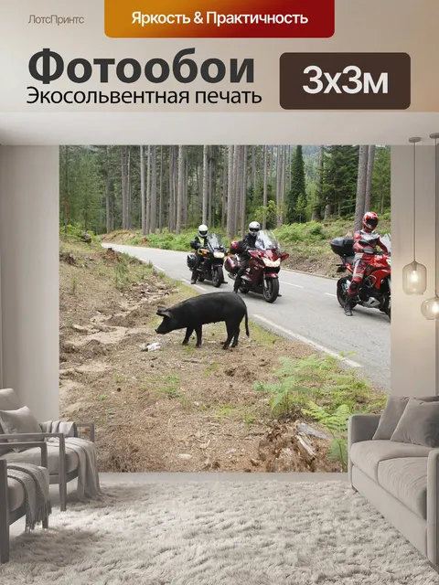 Фотообои Мотоспорт