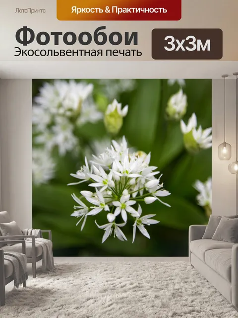 Фотообои Дикий чеснок
