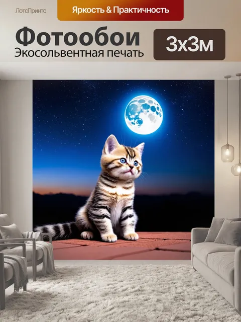 Фотообои кошечка, смотрящая на звездное небо ночью, сидя на крыше, с луной на фоне и небом, усыпанным звездами