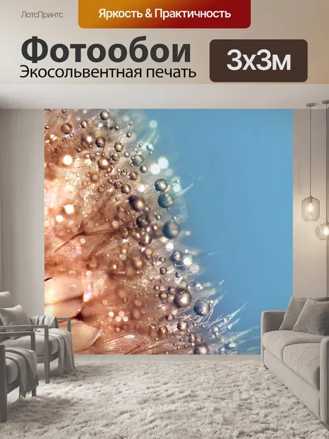 Фотообои Одуванчик цветение капли