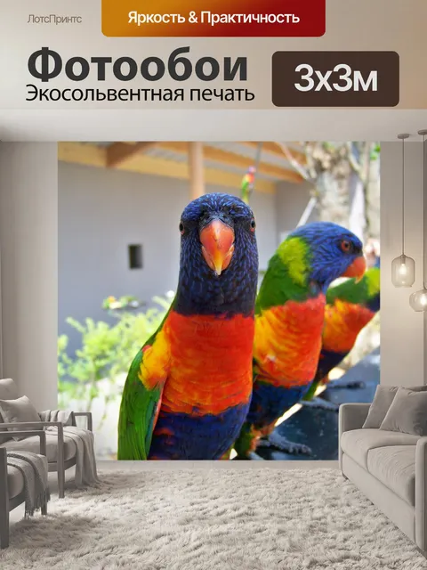 Фотообои Птицы