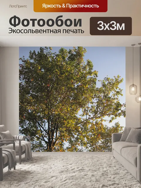 Фотообои Ранняя осень дерево