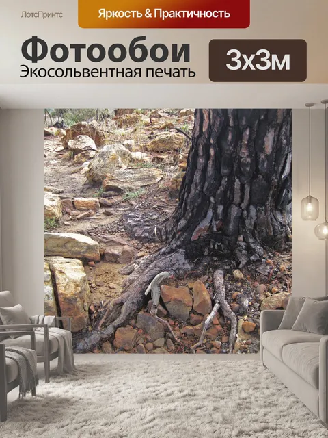 Фотообои обугленная основа сосны костра