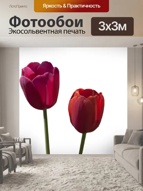 Фотообои Расцветает