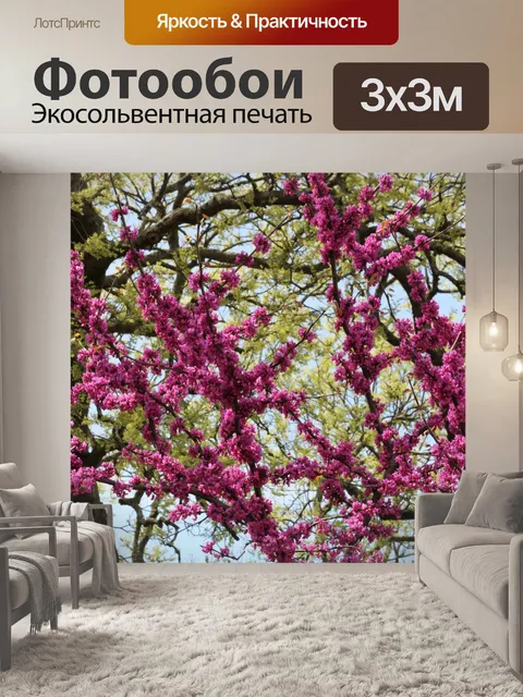 Фотообои Весеннее дерево цветет фон