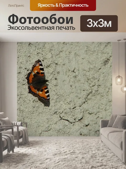 Фотообои Бабочка