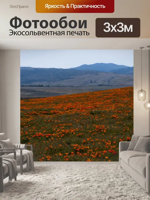 Фотообои Попсовые поля