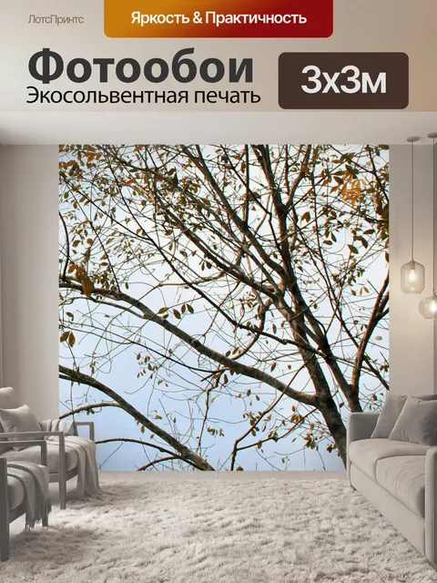 Фотообои Дерево