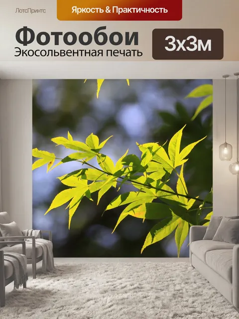 Фотообои Кленовый лист