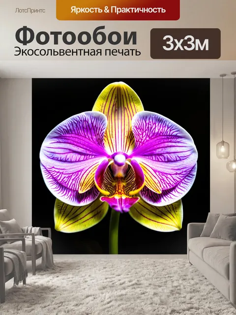 Фотообои орхидея, обманчиво выглядящая, как стеклянная