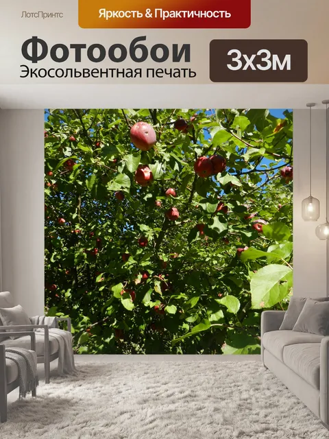 Фотообои Яблоня № 1