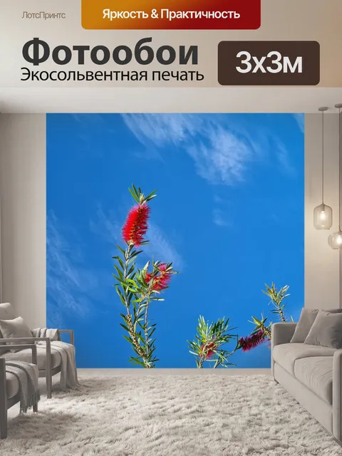 Фотообои Поздно распускающиеся цветы кисти для бу