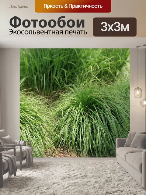 Фотообои Трава