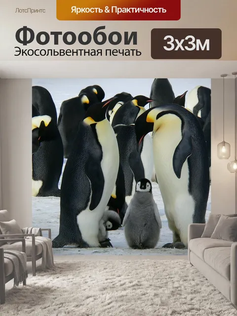 Фотообои Императорские пингвины