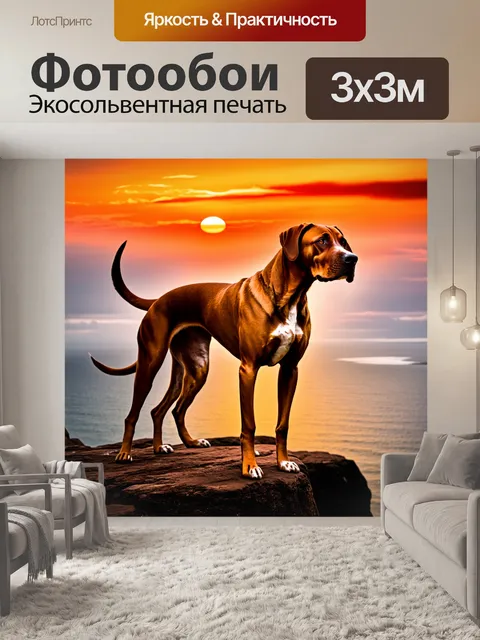 Фотообои родезийский риджбек, чем-то напоминая древнего воина, стоит на скале с видом на морской горизонт