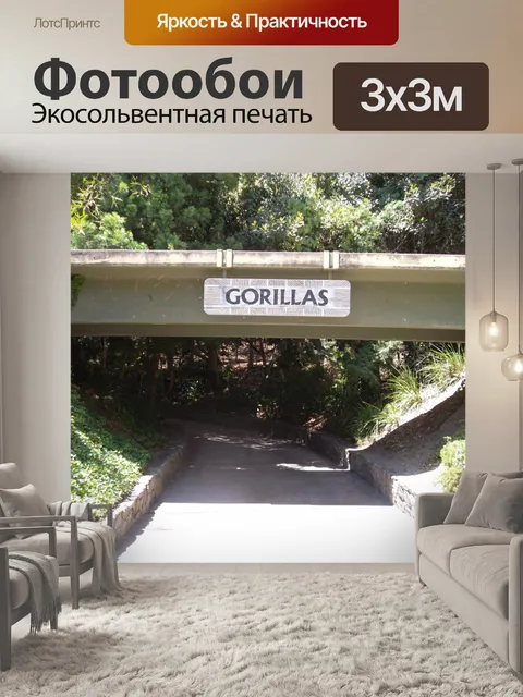 Фотообои Горилла Войти