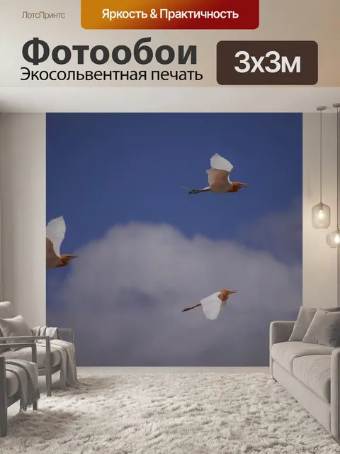 Фотообои Краны