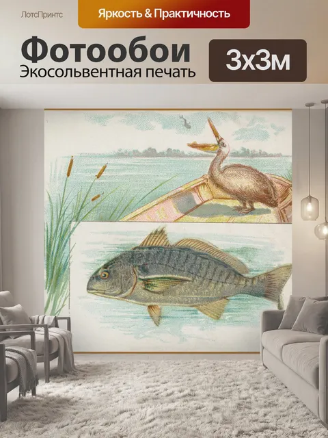 Фотообои Голавль