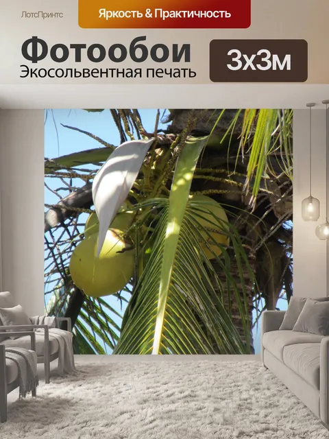 Фотообои Обратная сторона пальмы