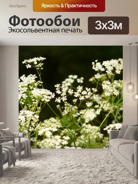 Фотообои Луговой кервель