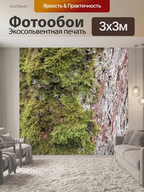 Фотообои Старое дерево