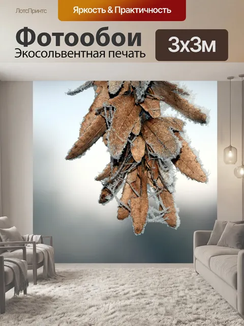 Фотообои Семена