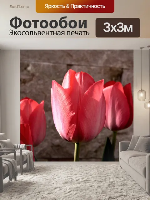 Фотообои Тюльпан