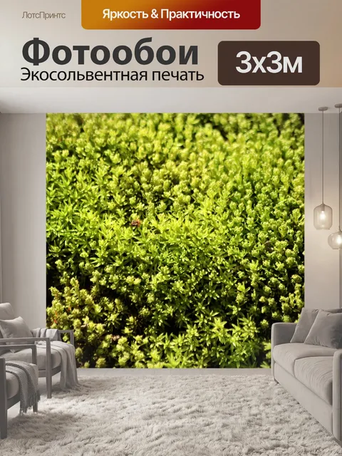 Фотообои Фон зеленый мох