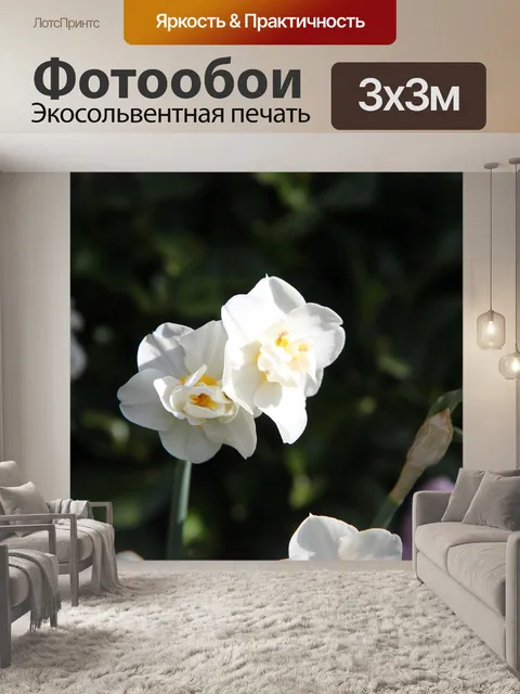 Фотообои Нарцисс