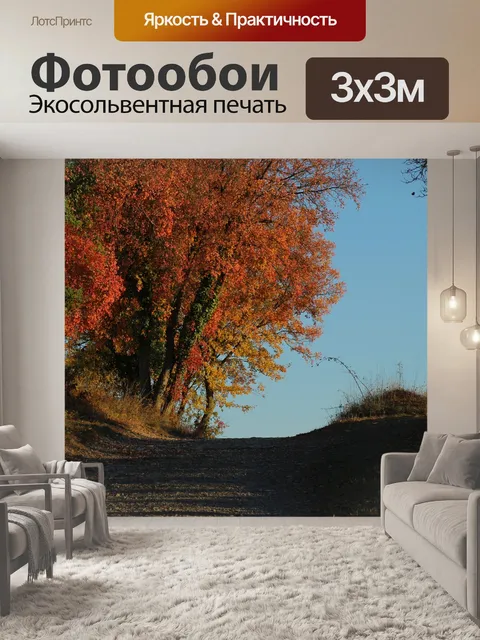 Фотообои Ходить