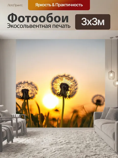 Фотообои одуванчики на фоне заката
