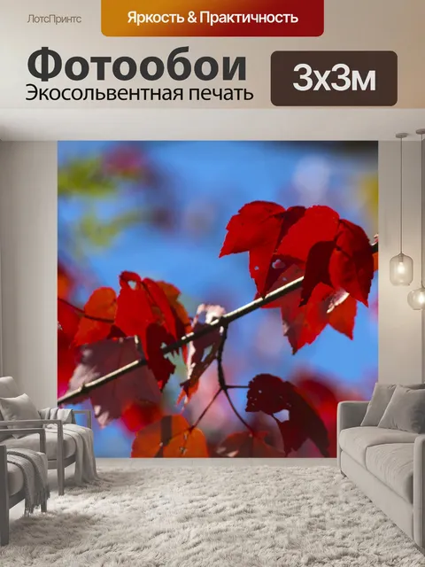 Фотообои Красные листья