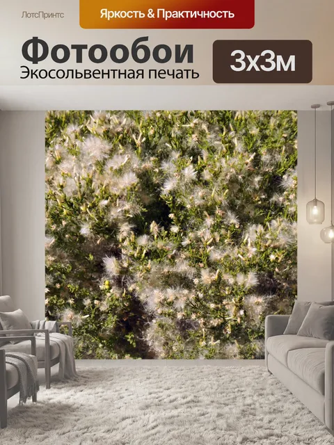 Фотообои История нечетких растений