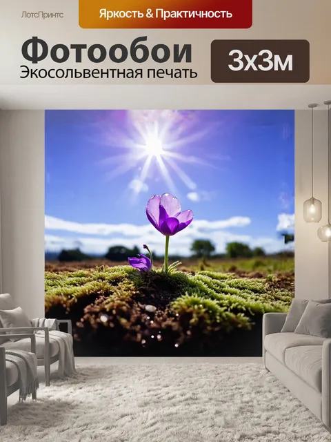 Фотообои фиолетовая фиалка, распускающая свои бархатистые лепестки под ярким солнцем, окружена нежным зеленым мхом