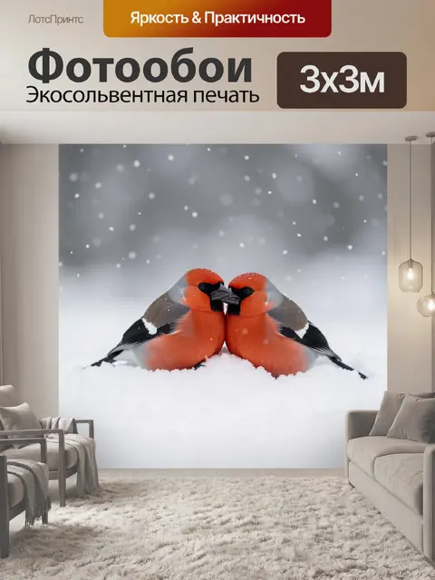 Фотообои Два снегиря на снегу