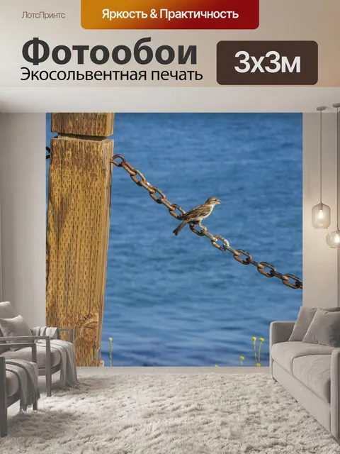 Фотообои воробей