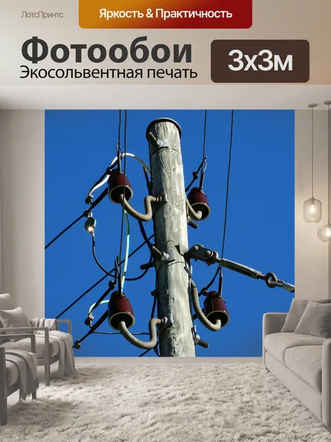 Фотообои Полюс питания