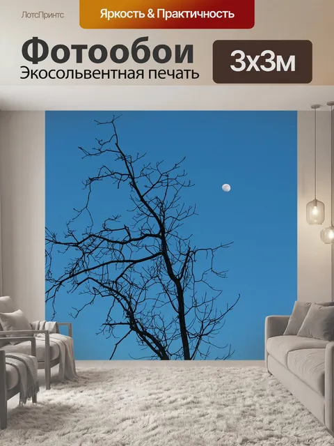 Фотообои Луна