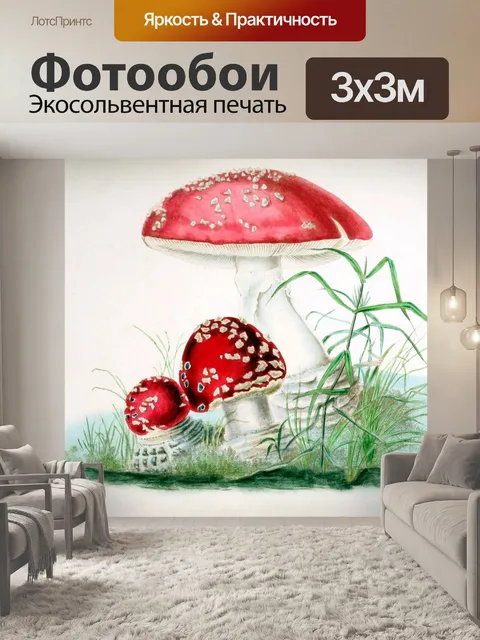 Фотообои Искусство старых старинных грибов