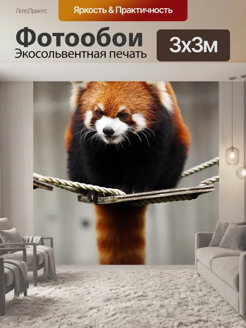 Фотообои Красная панда