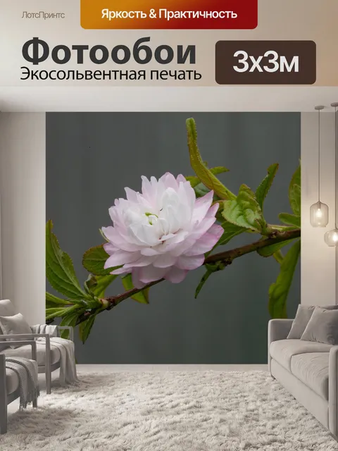Фотообои Сливовый босс