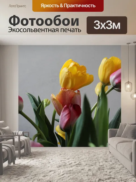 Фотообои Разноцветный
