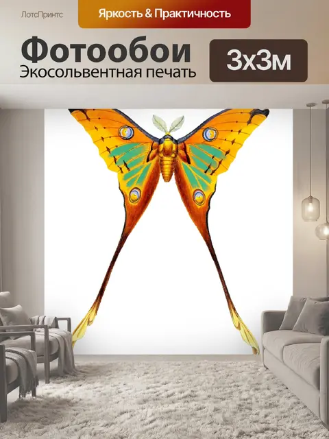 Фотообои Бабочка винтажные родственники