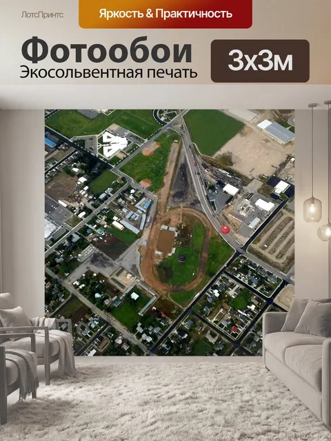 Фотообои Птичьего полета
