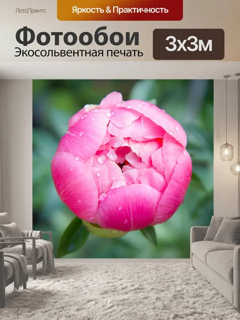 Фотообои Цветок