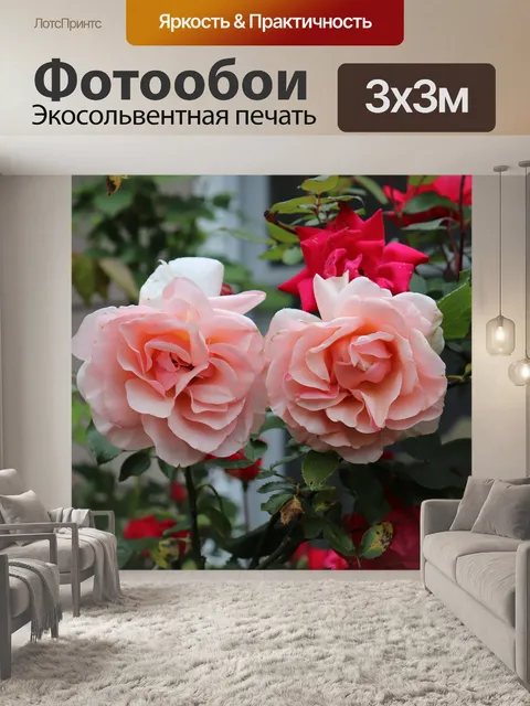 Фотообои Роза