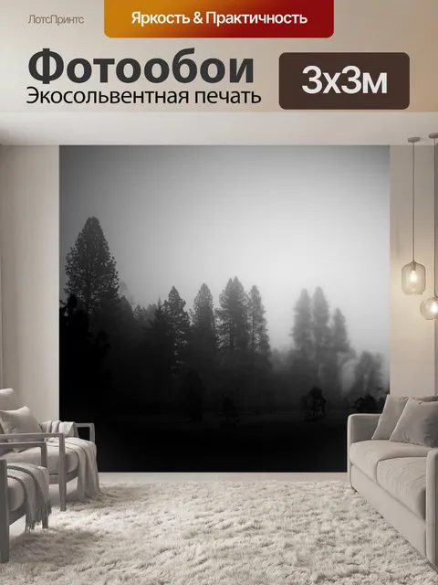 Фотообои Туманное утро